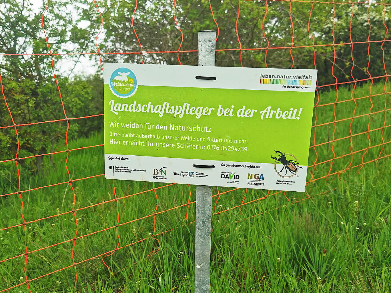 Foto des Weidewonne-Weideschilds.